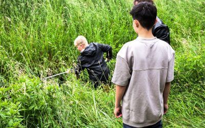 Schüler:innen forschen am Liemkebach